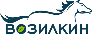 Возилкин